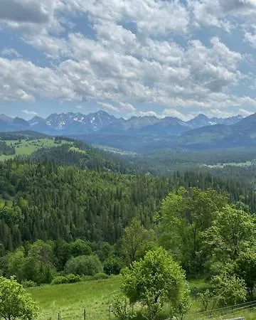 Guest house Goscinne Stolowe 3*